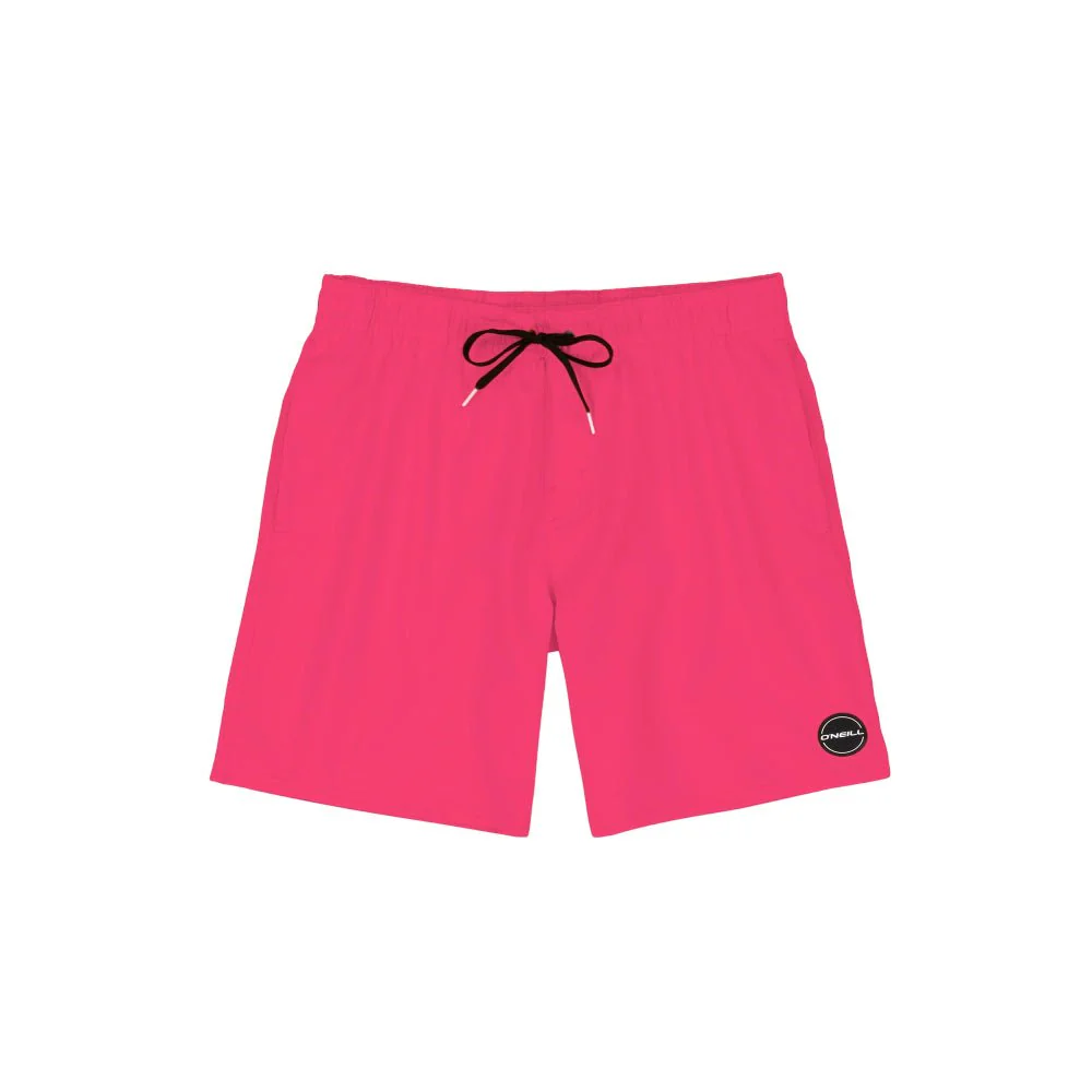 O'Neill Solid Canada Mens Volley Short 2023 - Image 22